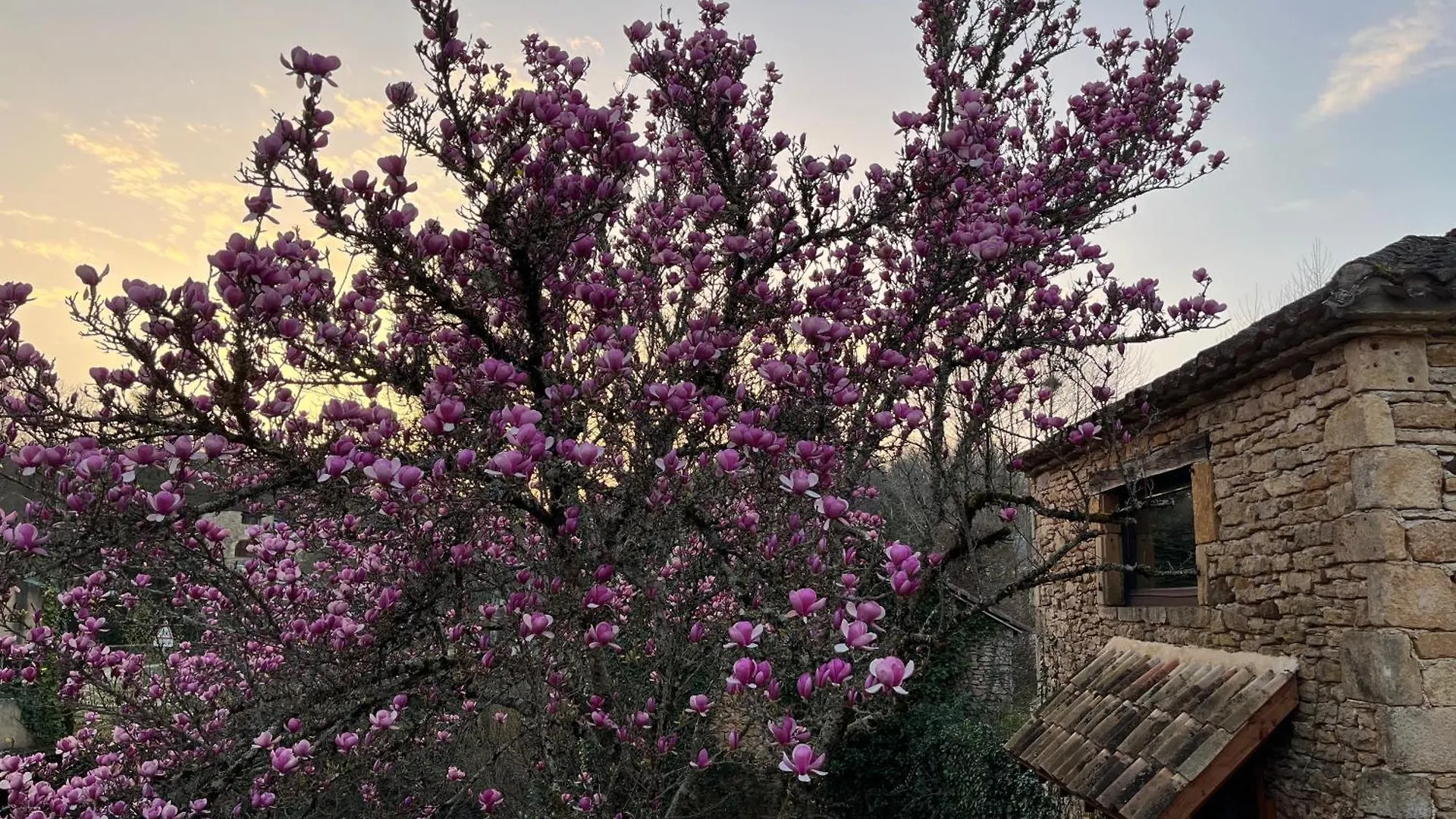 Villa Chez Le Magnolia Frayssinet-le-Gélat Frankreich